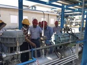 揚子石化 揚州化工園區烯烴管線通過安全設施竣工驗收