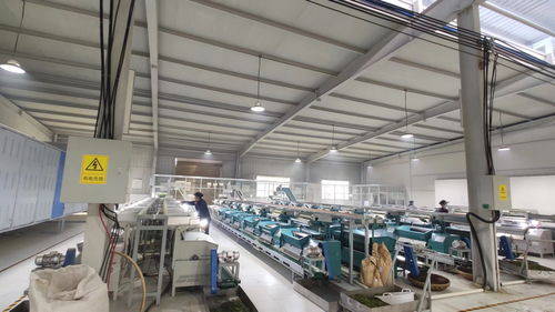 2023年貴州技能大賽 石阡苔茶杯 第五屆評茶師職工職業技能大賽在石阡舉辦