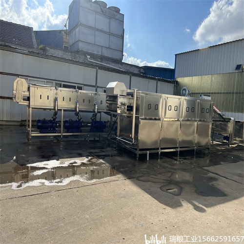 一站式解決大姜生產難題 瑞糧食品工業裝備與海蘭特醫藥化工設備的專業選擇